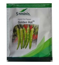 Chilli / Hot Pepper GOLDEN HOT